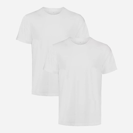 Áo Thun Lót Nam Under Armour Performance Tech Mesh Crew 2 Pack - Supersports Vietnam